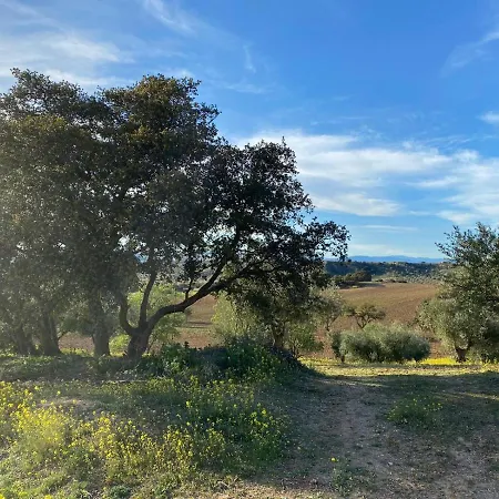 Finca Los Almendros De La Dehesa *
