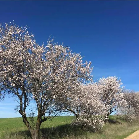 Finca Los Almendros De La Dehesa Сasa de vacaciones *