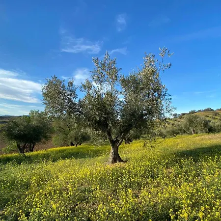 Сasa de vacaciones Finca Los Almendros De La Dehesa