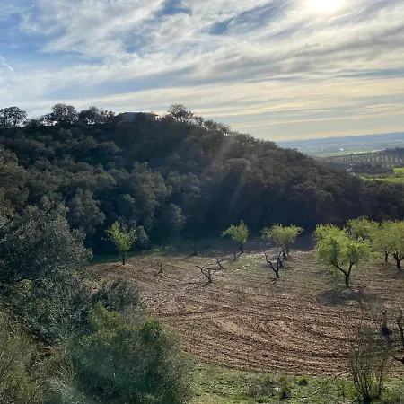 Finca Los Almendros De La Dehesa * La Mata (Toledo)
